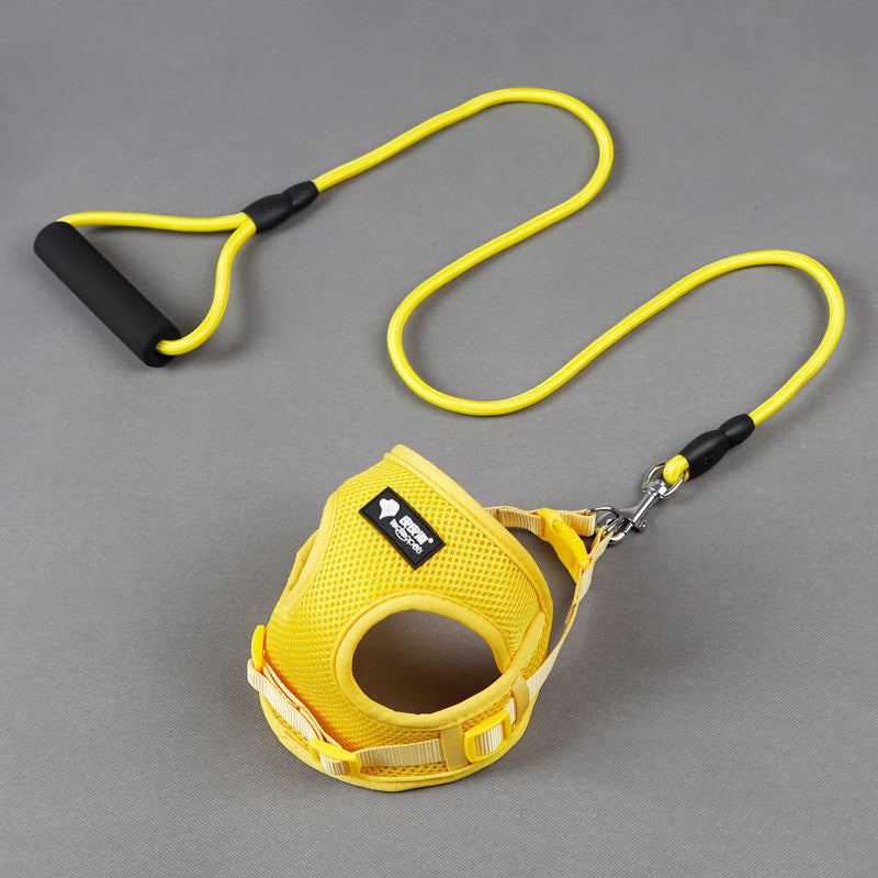 Dog Leash & Collar Set with Foam Handle