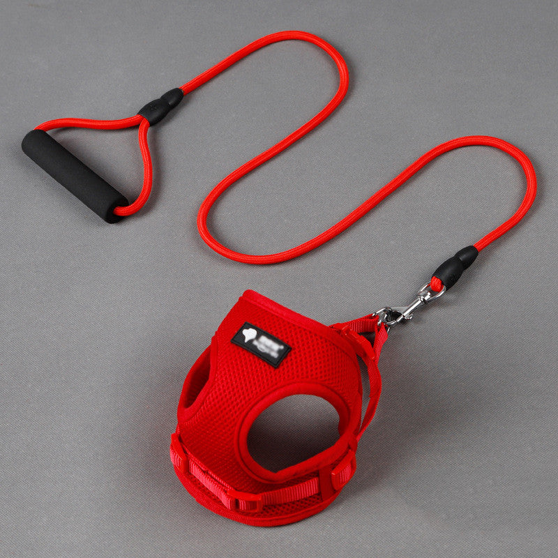 Dog Leash & Collar Set with Foam Handle