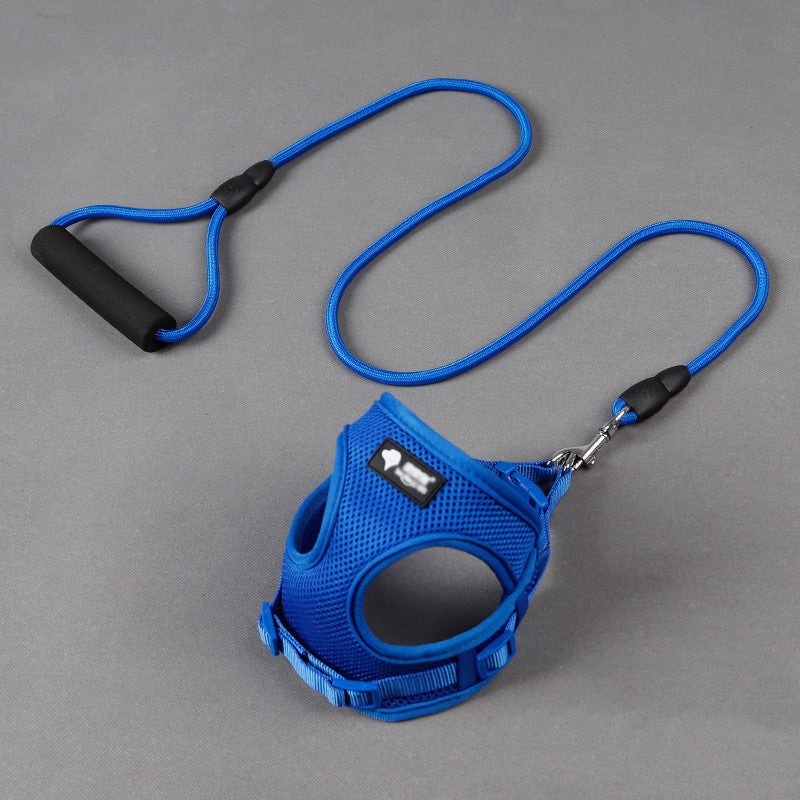 Dog Leash & Collar Set with Foam Handle