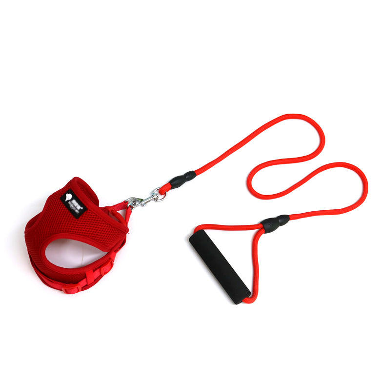 Dog Leash & Collar Set with Foam Handle