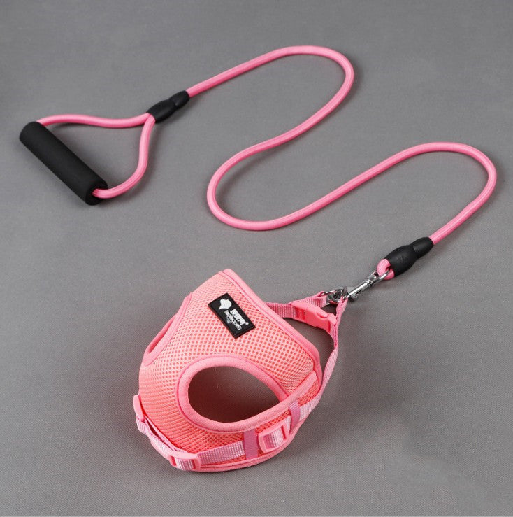 Dog Leash & Collar Set with Foam Handle