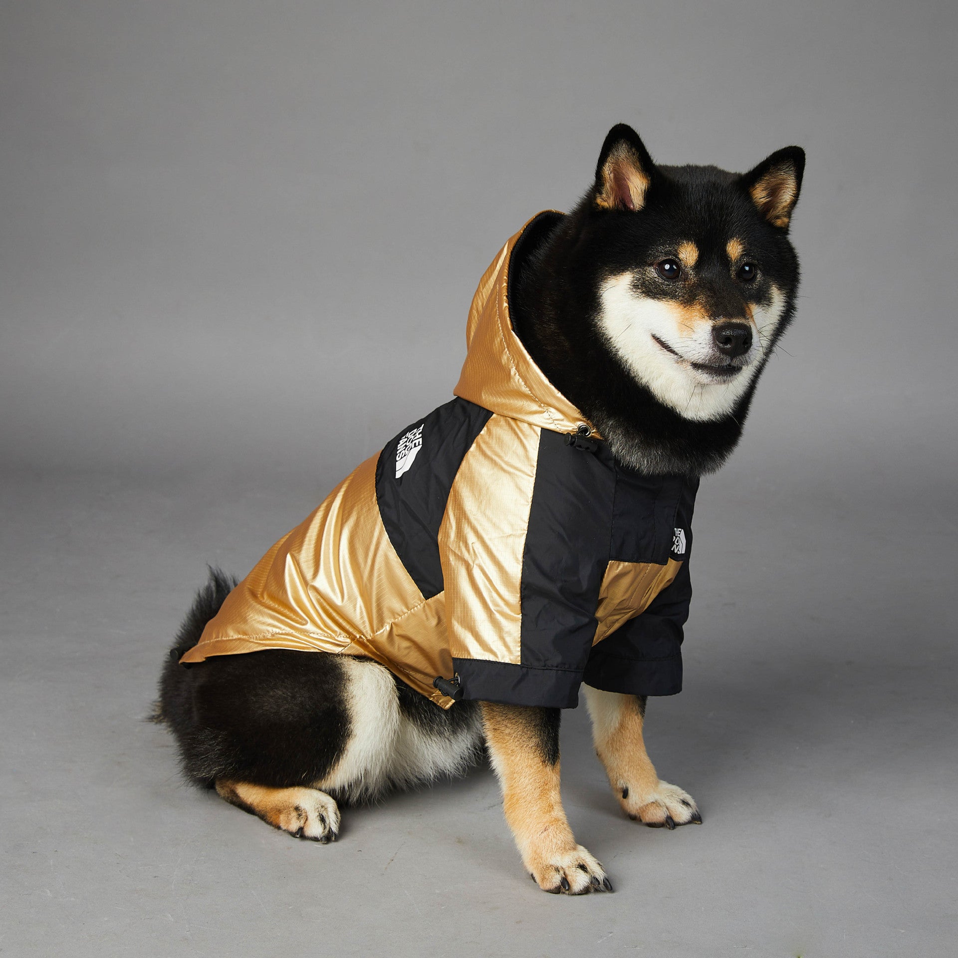 Dog Large Raincoat – Waterproof Pet Jacket