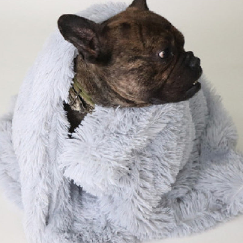 Pet Dog & Cat Blankets
