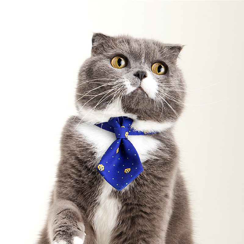 Collar Dog Gentleman Tie