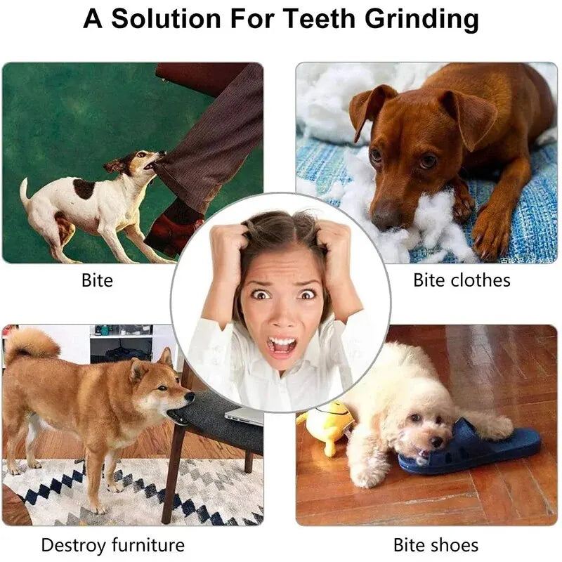 Dog Toy Ball, Nontoxic Bite Resistant Toy