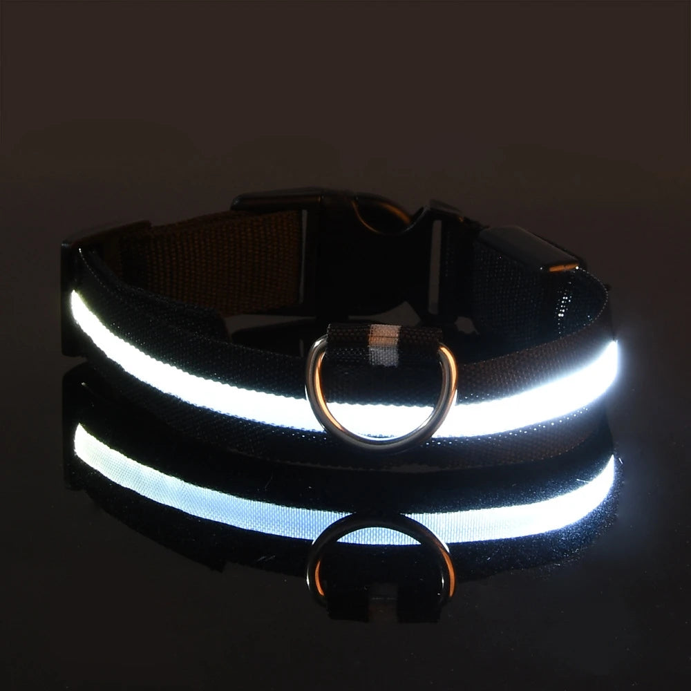 LED Glow Night Dog Leash & Collar