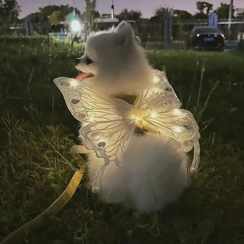 Glowing Butterfly Wings Dog Harness