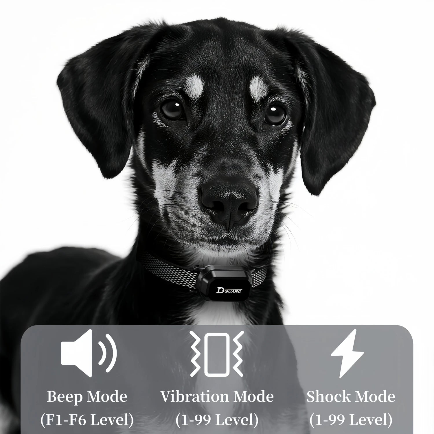 Dog Training Collar Remote with Anti-Bark