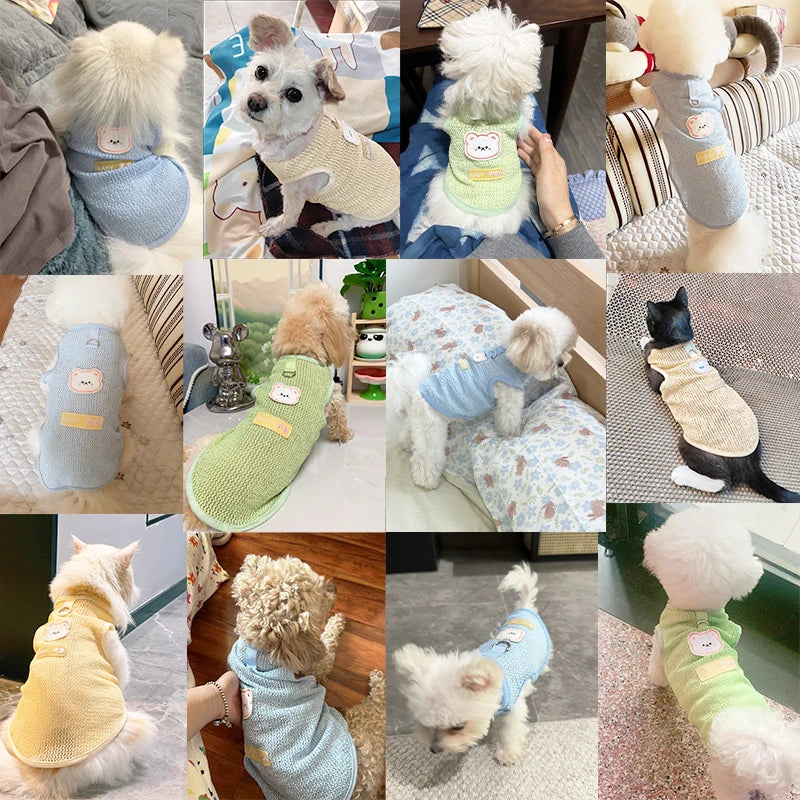 Summer Bear Print Dog Vest – Breathable Puppy Shirt