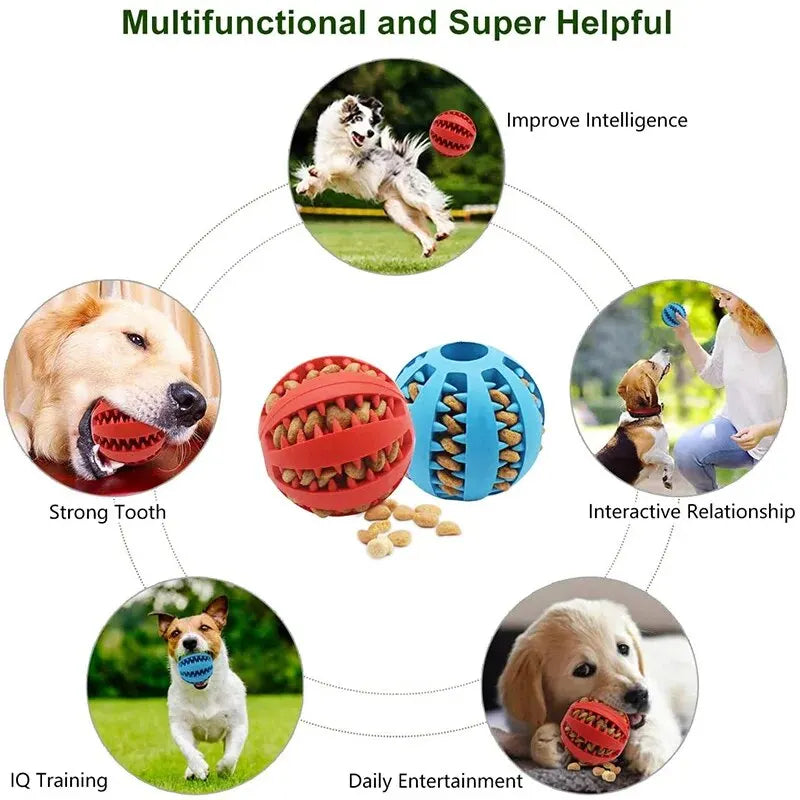 Dog Toy Ball, Nontoxic Bite Resistant Toy