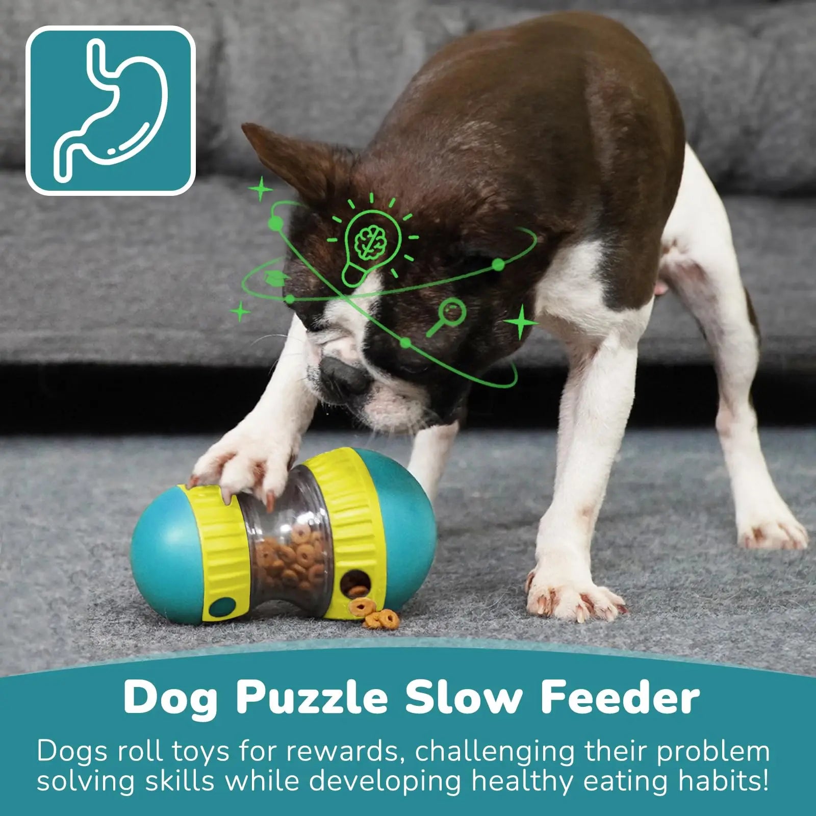 Dog Toys & Adjustable Slow Feeder Ball