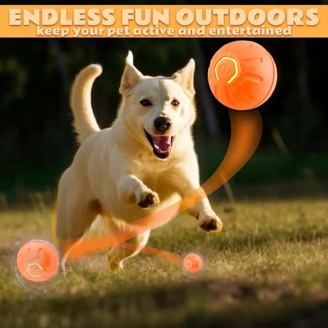 Pet toys Gravity Electric Amusement