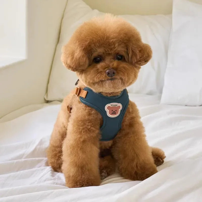 Cute Bear Dog Harness & Leash Set
