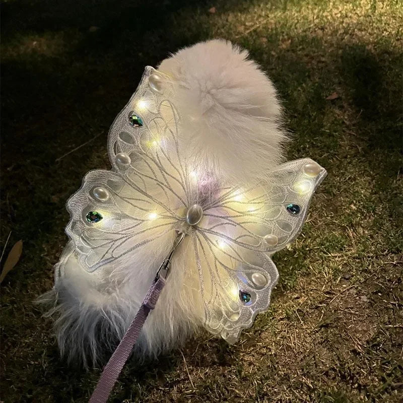 Glowing Butterfly Wings Dog Harness