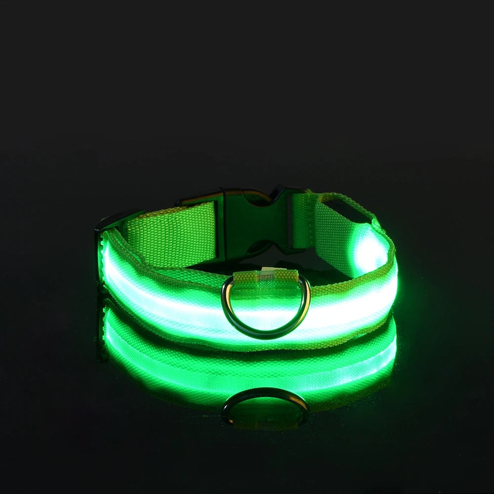 LED Glow Night Dog Leash & Collar