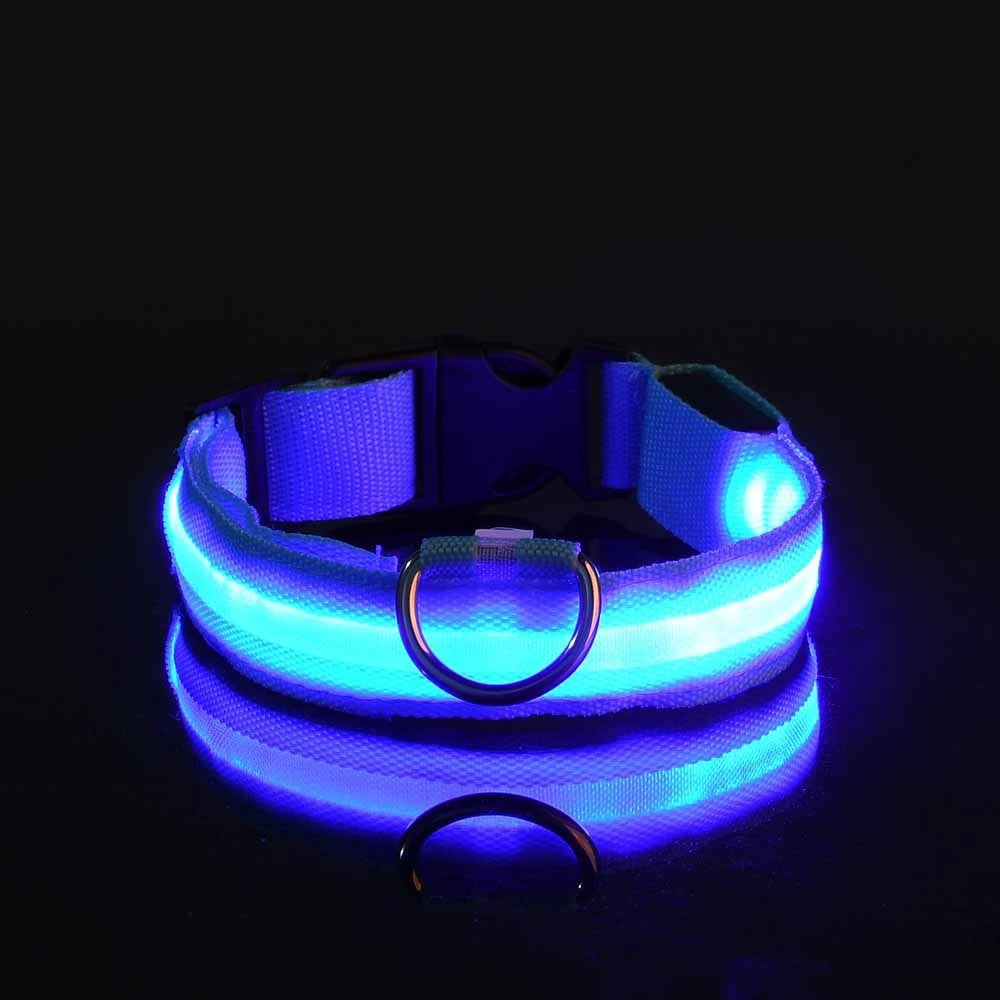 LED Glow Night Dog Leash & Collar