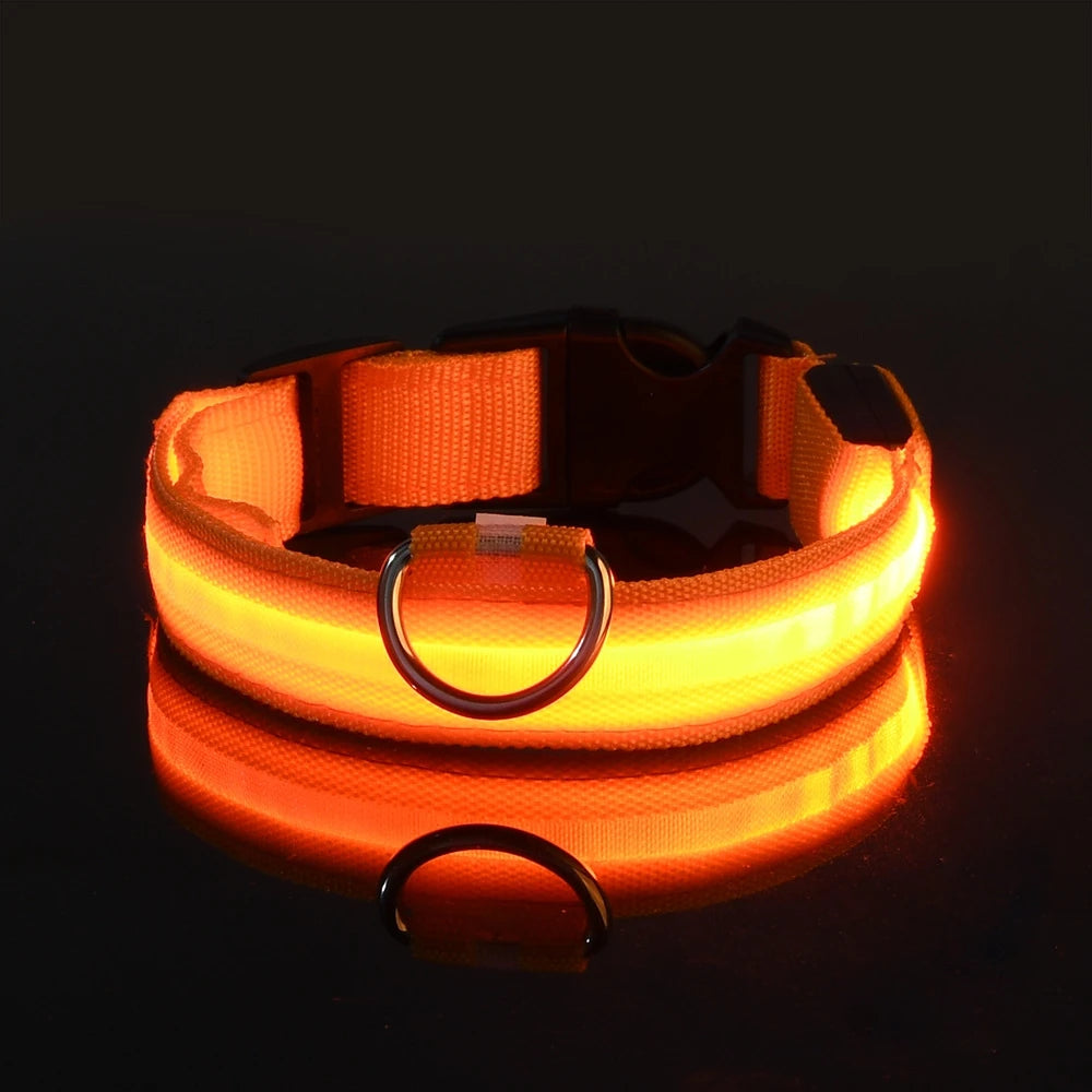 LED Glow Night Dog Leash & Collar