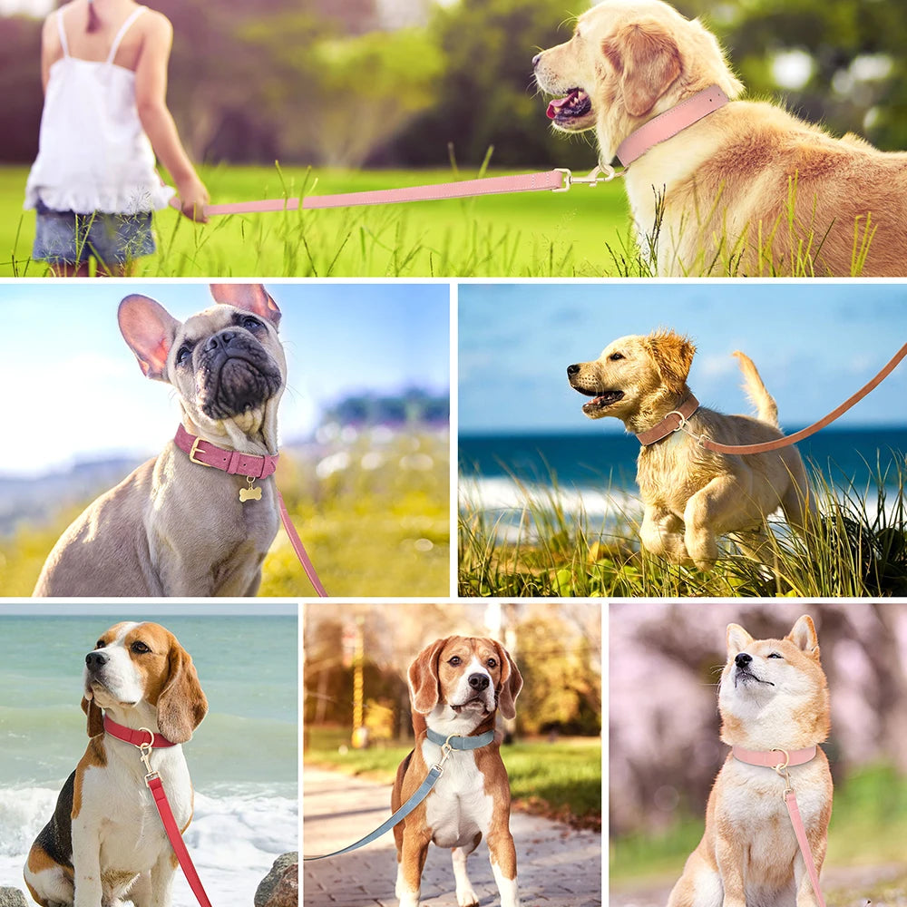 Soft Padded PU Leather Dog Collar & Leash Set
