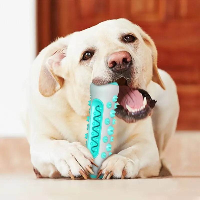 Dog Toy Teething Stick Chewable