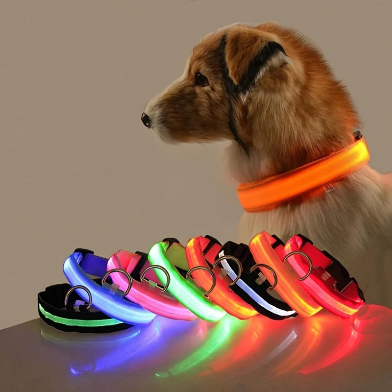 LED Glow Night Dog Leash & Collar