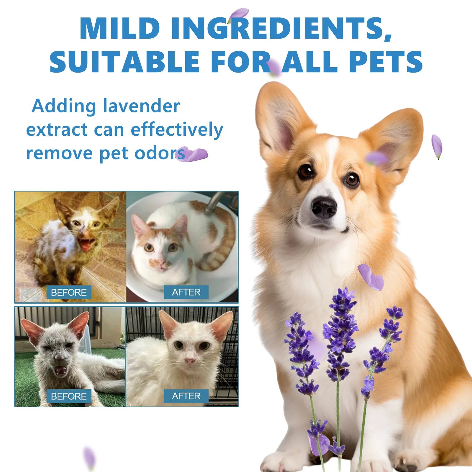Pet Waterless Body Wash for Dogs & Cats