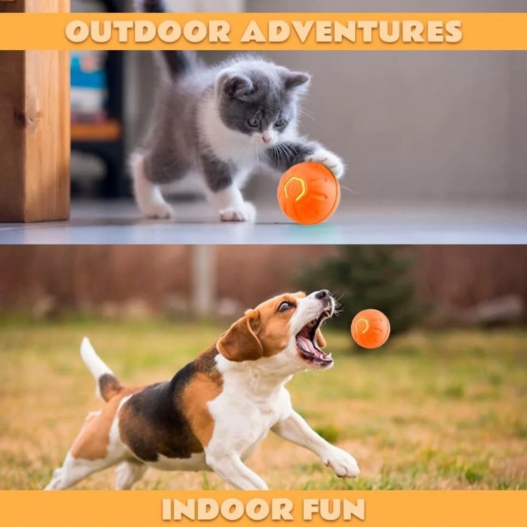 Pet toys Gravity Electric Amusement