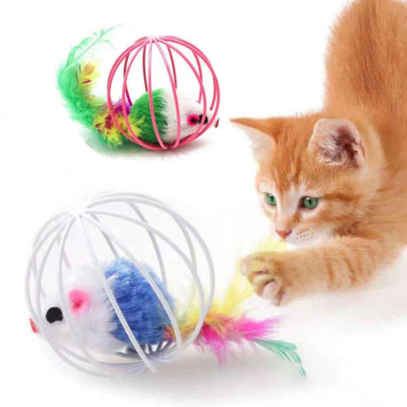 Popular Colorful Mouse in Cage