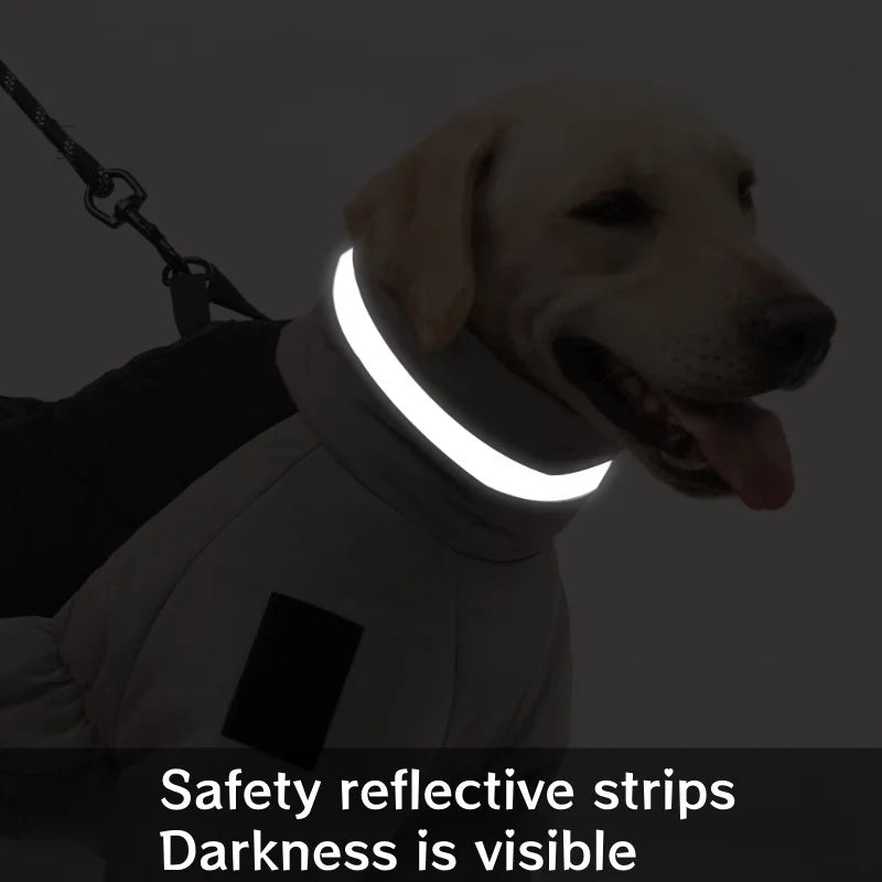 Waterproof Winter Dog Down Jacket