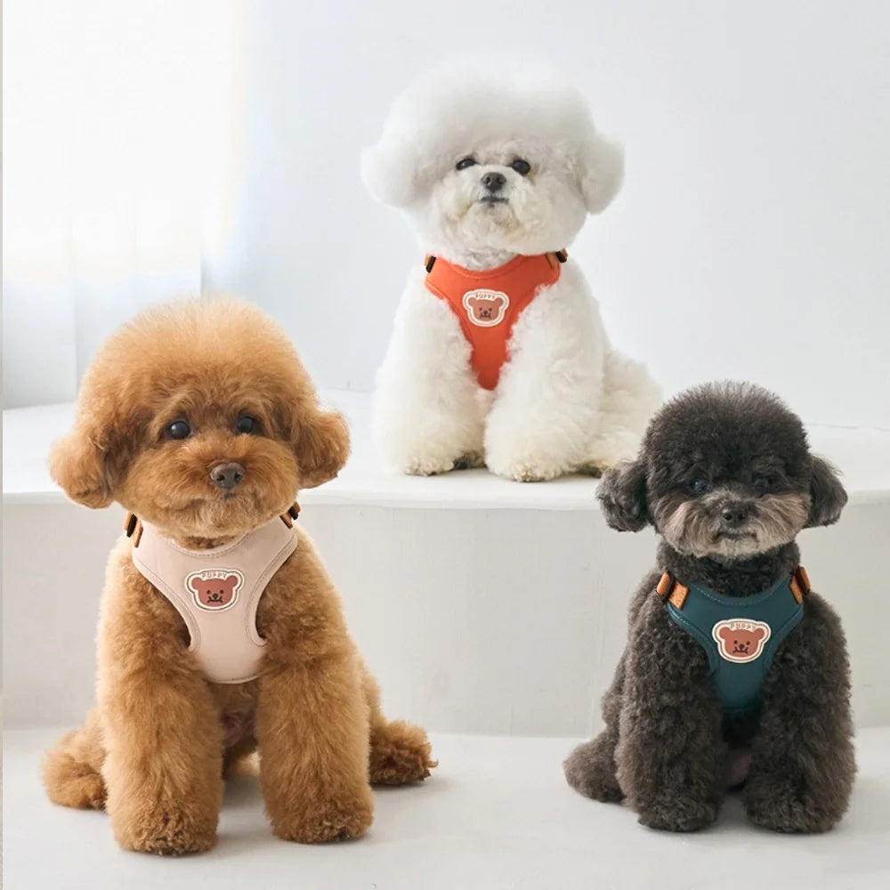 Cute Bear Dog Harness & Leash Set