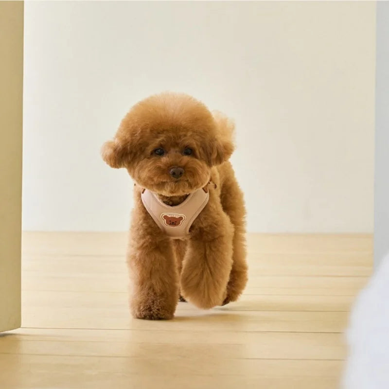 Cute Bear Dog Harness & Leash Set