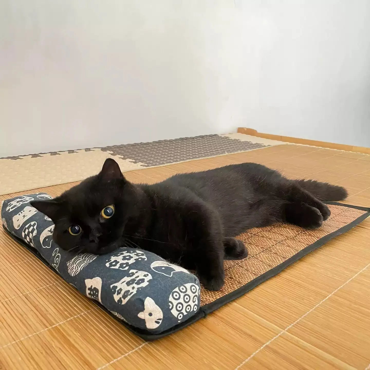Cat Natural Cooling Mat Summer Pet