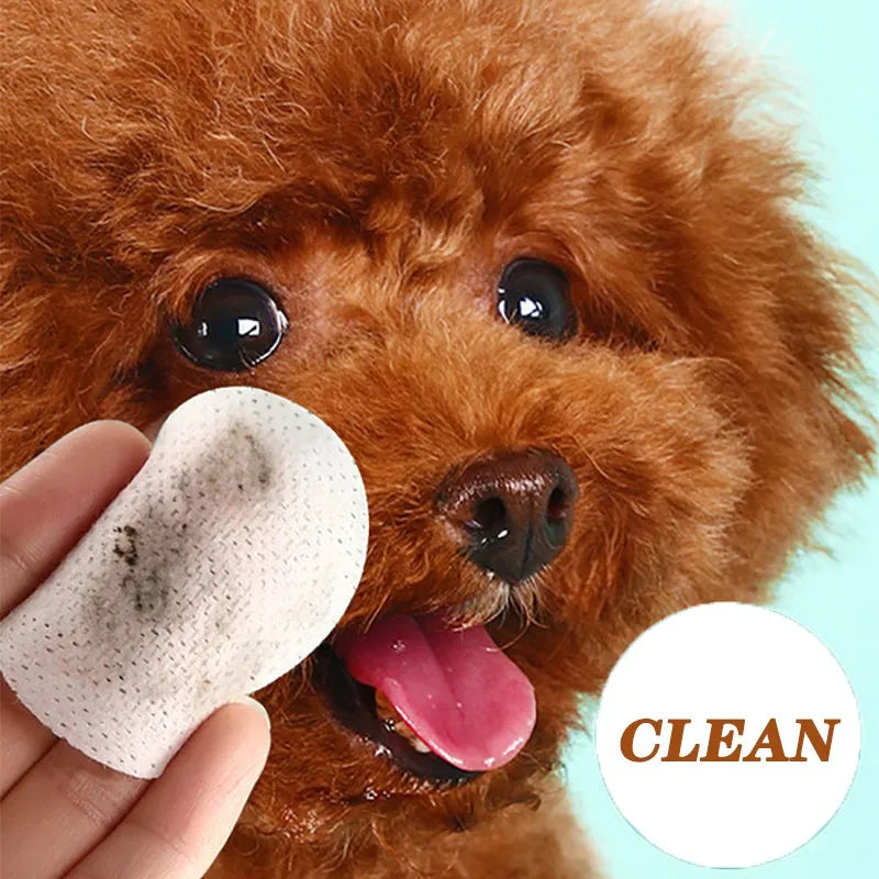 Pet Eye Wipes for Dogs & Cats