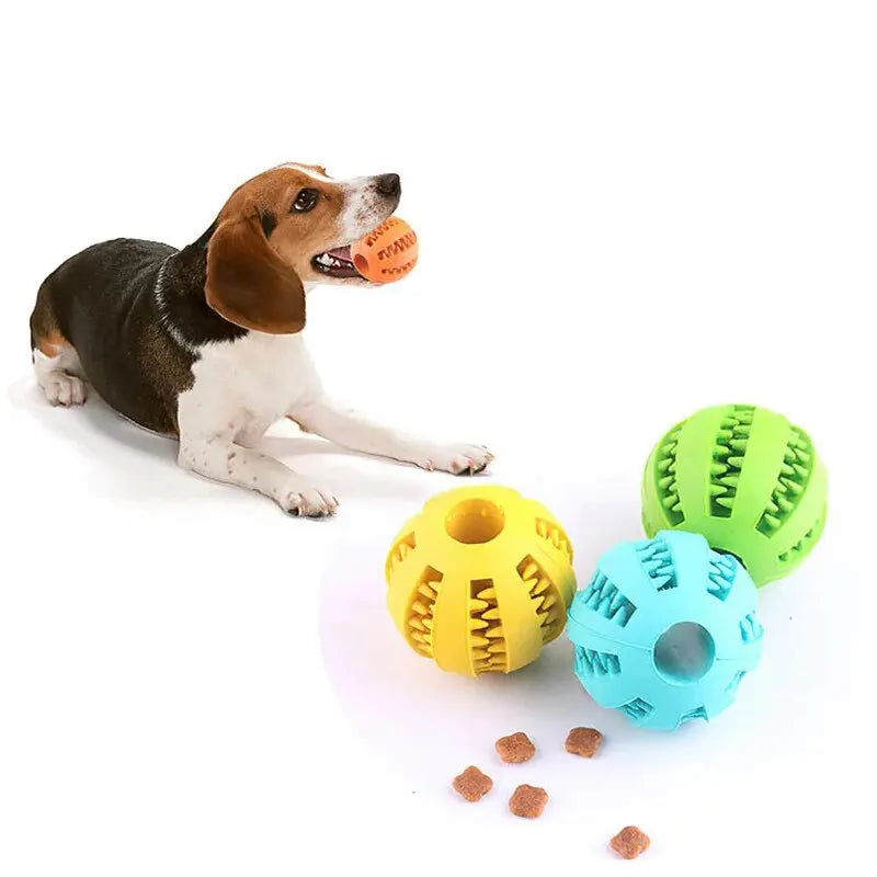 Dog Toy Ball, Nontoxic Bite Resistant Toy