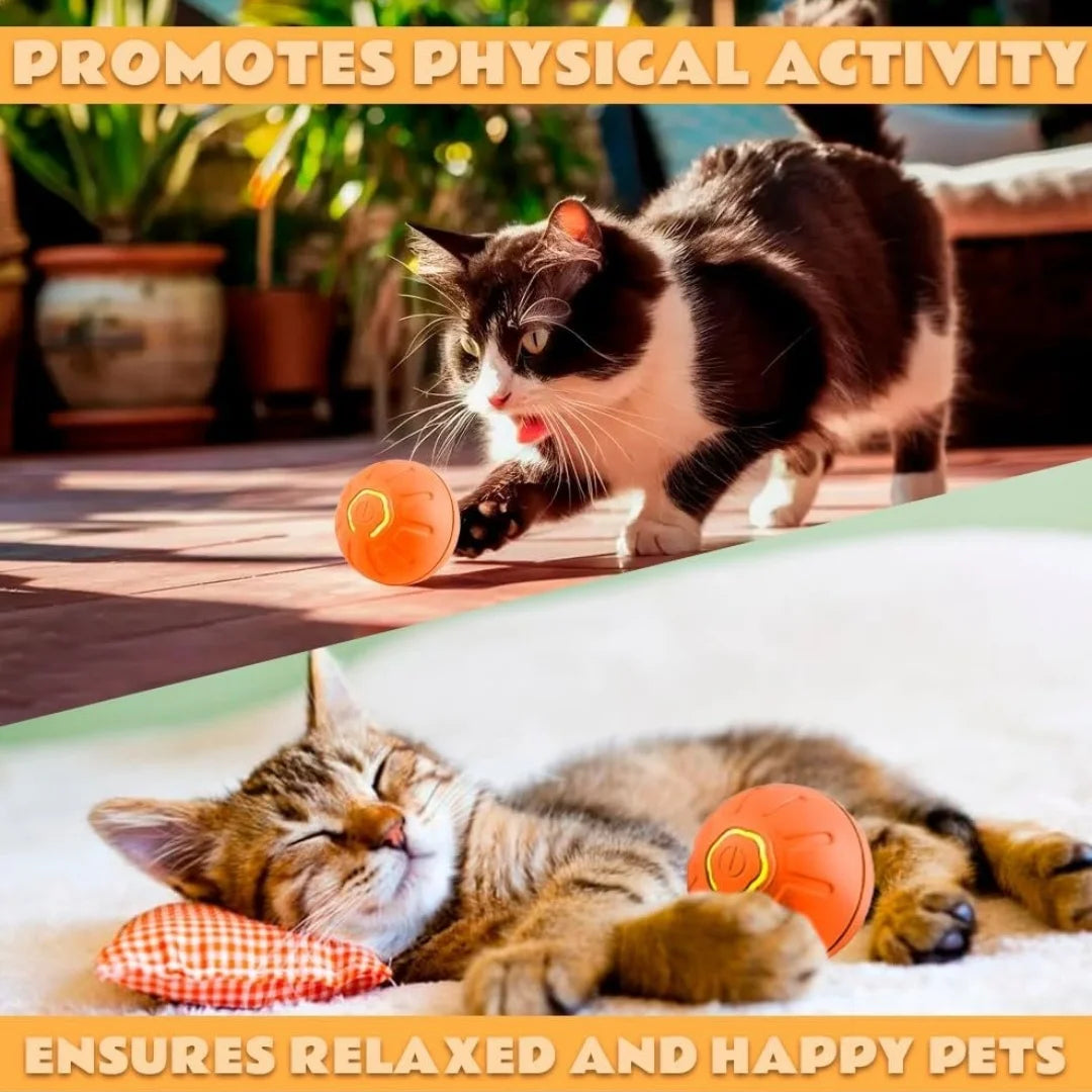 Pet toys Gravity Electric Amusement