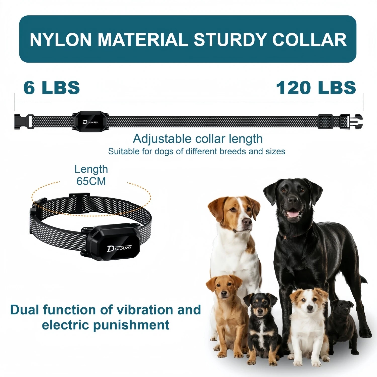 Dog Training Collar Remote with Anti-Bark