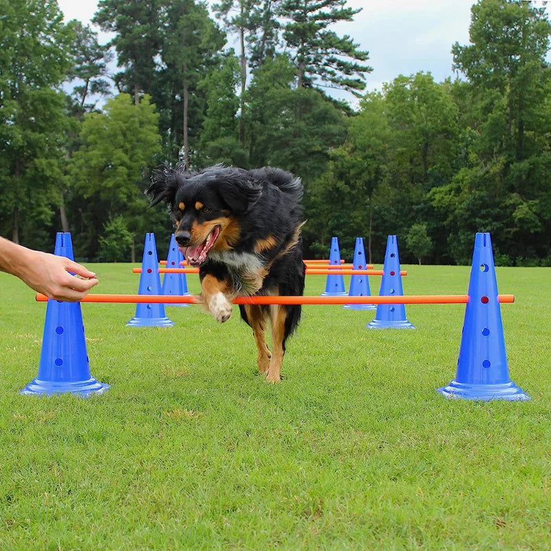 Dog Agility Jumping Bar Training Set