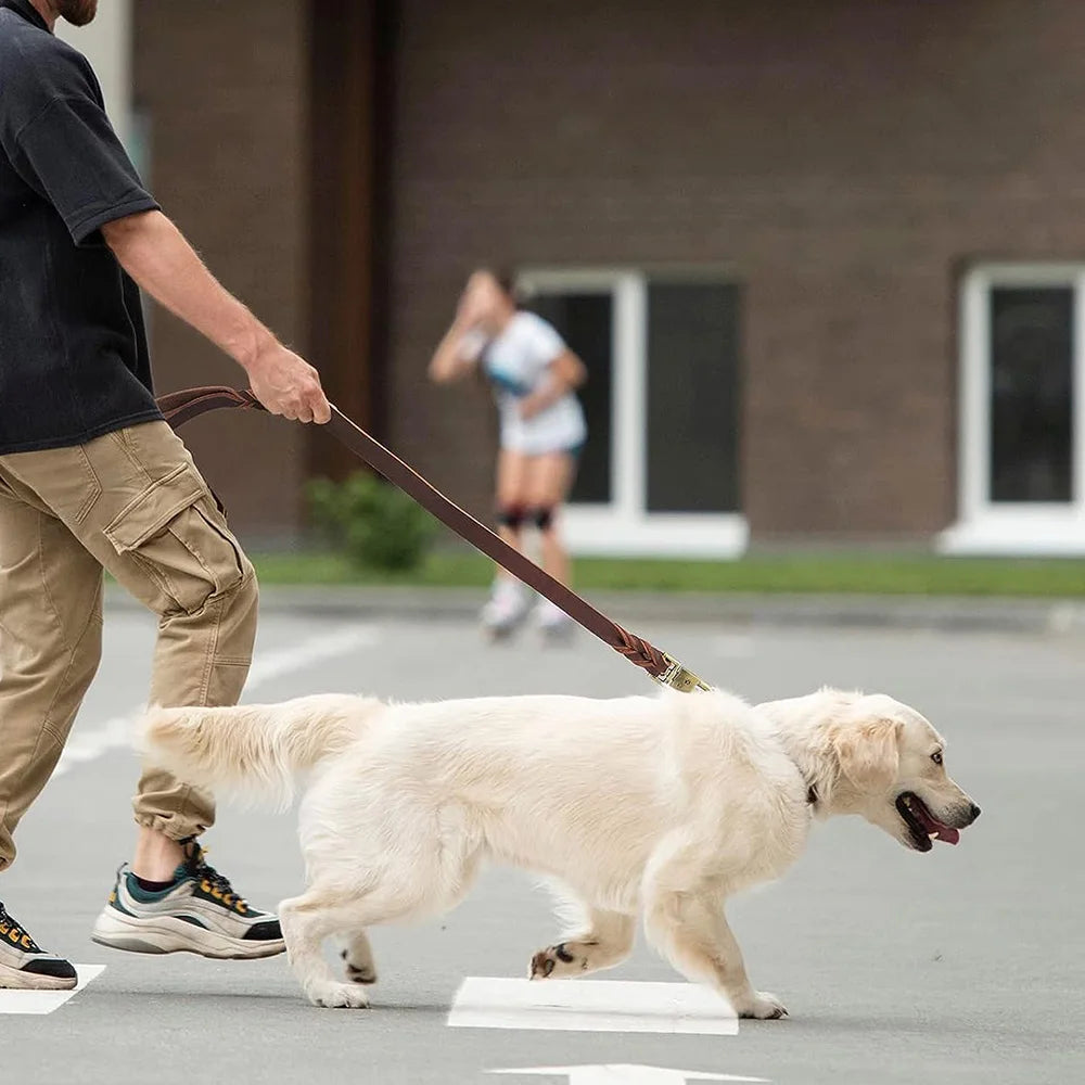 Genuine Leather Heavy Duty Dog Leash