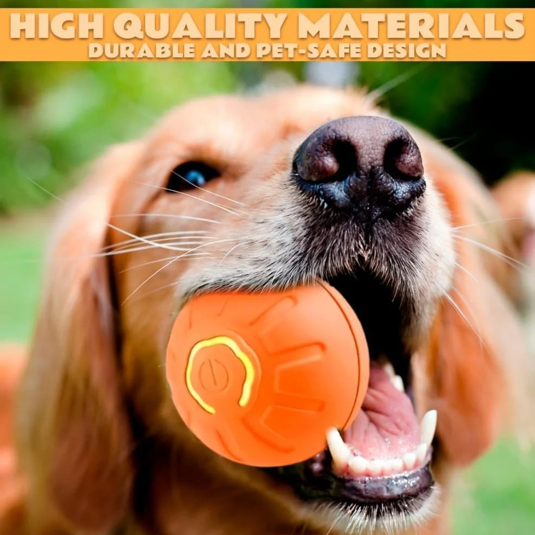 Pet toys Gravity Electric Amusement