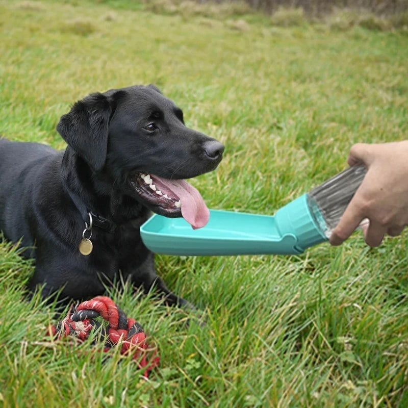 Pet Water Dispenser Portable Dog Water Bottle