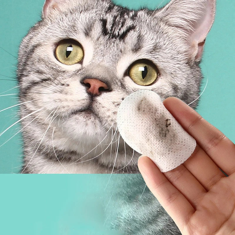 Pet Eye Wipes for Dogs & Cats
