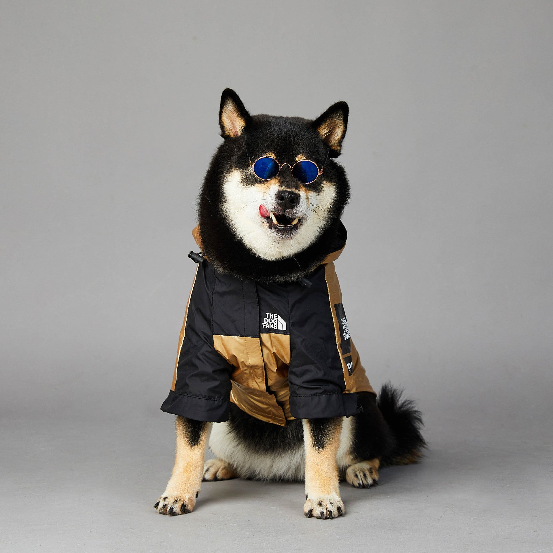 Dog Large Raincoat – Waterproof Pet Jacket