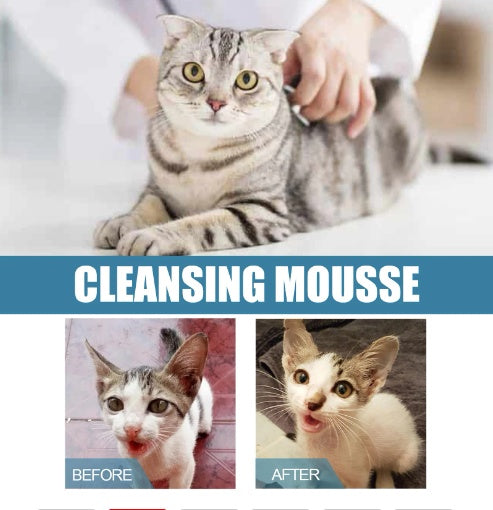 Pet Dry Wash Foam for Cats & Dogs